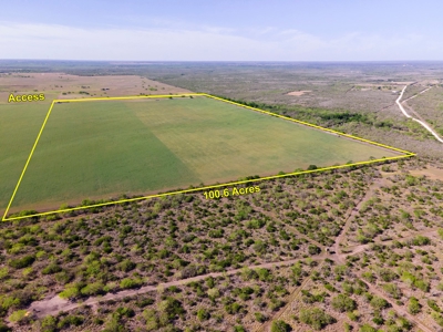 100 Acres For Sale In Orange Grove - image 32