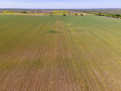 100 Acres For Sale In Orange Grove - image 29