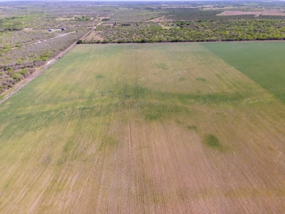 100 Acres For Sale In Orange Grove - image 27