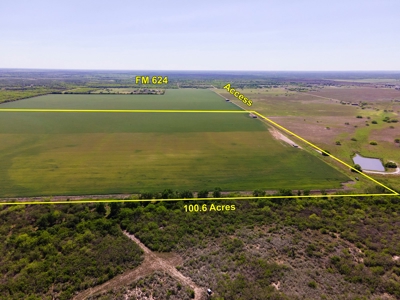100 Acres For Sale In Orange Grove - image 26