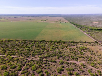 100 Acres For Sale In Orange Grove - image 18