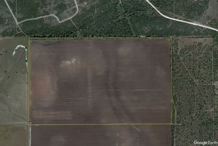 100 Acres For Sale In Orange Grove - image 3