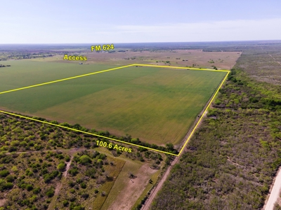 100 Acres For Sale In Orange Grove - image 16