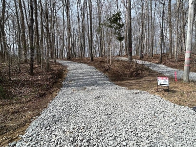 Monroe County Kentucky Land for Sale - image 2