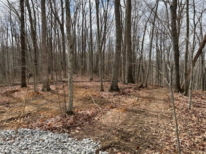 Monroe County Kentucky Land for Sale - image 8