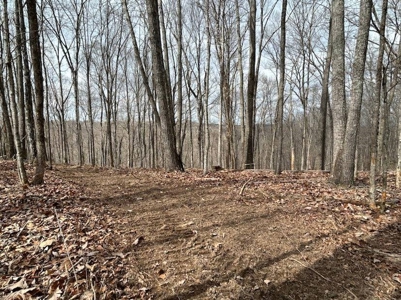 Monroe County Kentucky Land for Sale - image 4