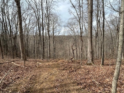 Monroe County Kentucky Land for Sale - image 7