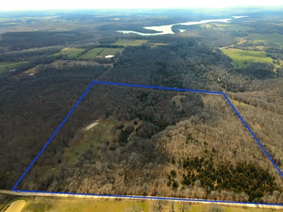 Land For Sale Stockton Lake - image 2