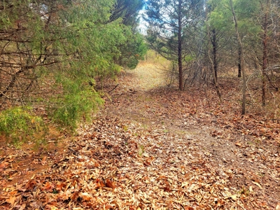 Land For Sale Stockton Lake - image 8