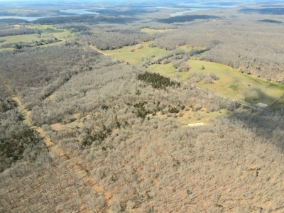 Land For Sale Stockton Lake - image 40