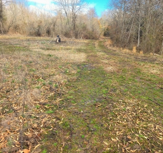 Land For Sale Stockton Lake - image 15