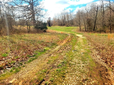 Land For Sale Stockton Lake - image 6
