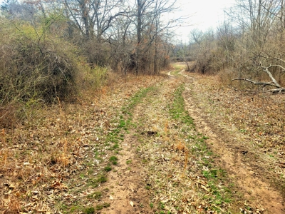 Land For Sale Stockton Lake - image 9