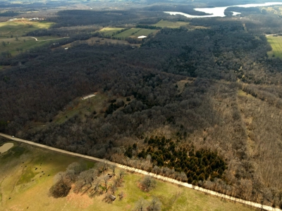 Land For Sale Stockton Lake - image 45