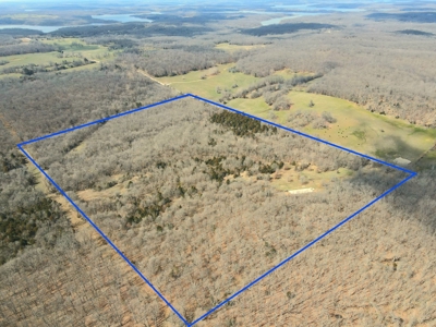 Land For Sale Stockton Lake - image 3