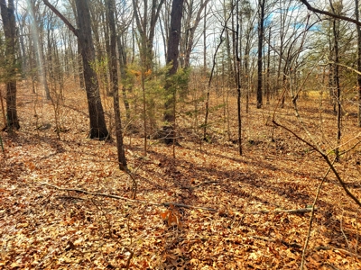 Land For Sale Stockton Lake - image 29