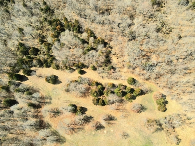 Land For Sale Stockton Lake - image 39