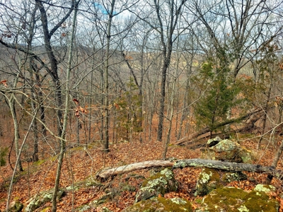 Land For Sale Stockton Lake - image 22