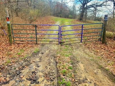 Land For Sale Stockton Lake - image 5