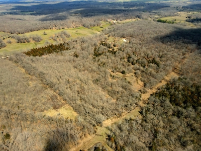 Land For Sale Stockton Lake - image 41