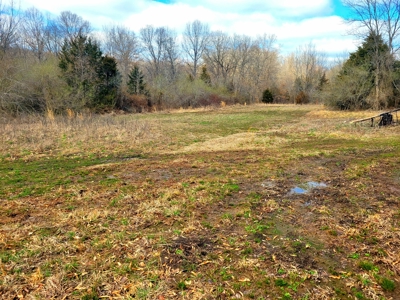Land For Sale Stockton Lake - image 16