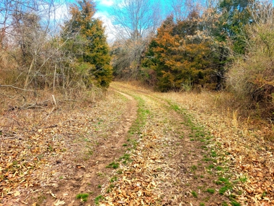 Land For Sale Stockton Lake - image 10