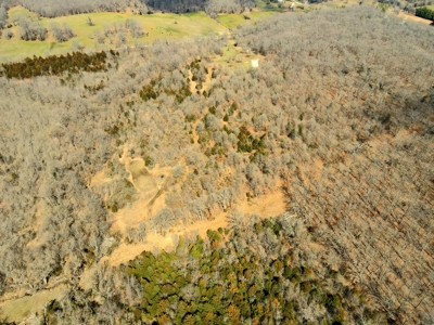 Land For Sale Stockton Lake - image 42
