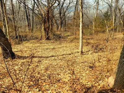 Land For Sale Stockton Lake - image 13