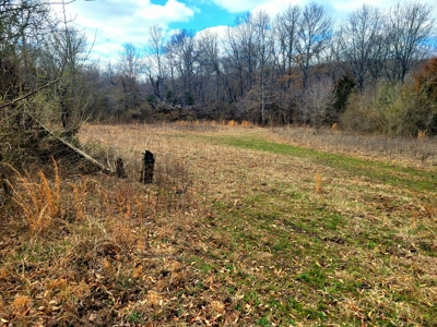 Land For Sale Stockton Lake - image 17