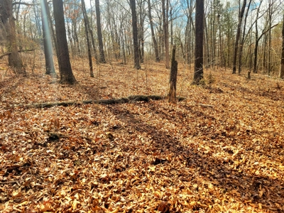 Land For Sale Stockton Lake - image 27