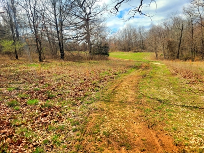 Land For Sale Stockton Lake - image 31