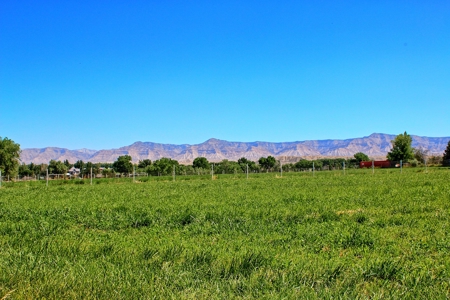 Custom Built Rancher on 16 Acres - image 38
