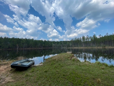 Hunting Land For Sale in Lamar County, MS 268 Acres - image 9