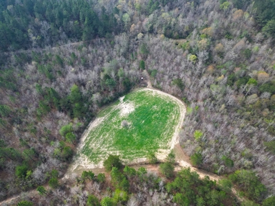 Hunting Land For Sale in Lamar County, MS 268 Acres - image 41