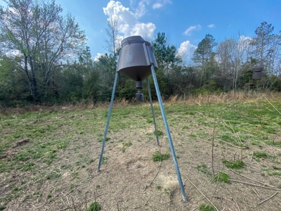 Hunting Land For Sale in Lamar County, MS 268 Acres - image 25