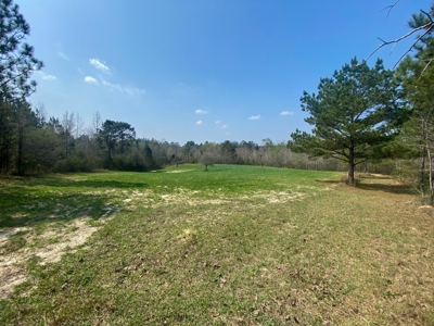 Hunting Land For Sale in Lamar County, MS 268 Acres - image 35