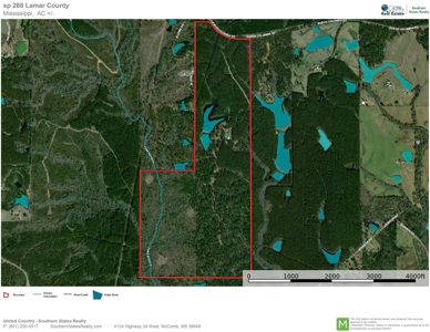 Hunting Land For Sale in Lamar County, MS 268 Acres - image 47