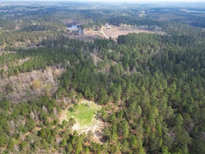 Hunting Land For Sale in Lamar County, MS 268 Acres - image 45