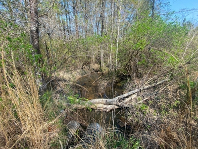 Hunting Land For Sale in Lamar County, MS 268 Acres - image 33