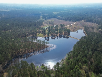 Hunting Land For Sale in Lamar County, MS 268 Acres - image 8