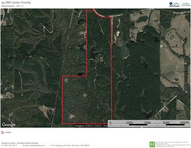 Hunting Land For Sale in Lamar County, MS 268 Acres - image 48