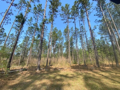 Hunting Land For Sale in Lamar County, MS 268 Acres - image 46