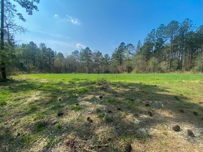 Hunting Land For Sale in Lamar County, MS 268 Acres - image 38