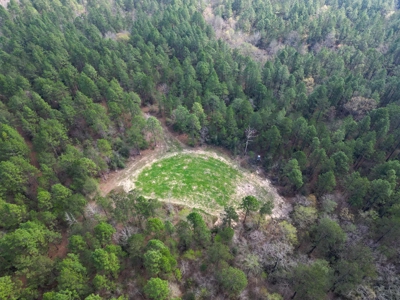 Hunting Land For Sale in Lamar County, MS 268 Acres - image 34