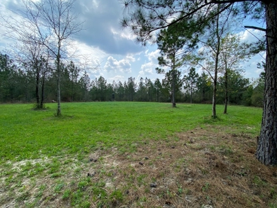 Hunting Land For Sale in Lamar County, MS 268 Acres - image 22