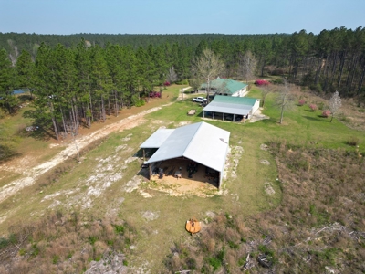 Hunting Land For Sale in Lamar County, MS 268 Acres - image 3