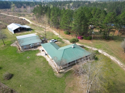 Hunting Land For Sale in Lamar County, MS 268 Acres - image 6