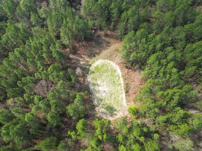 Hunting Land For Sale in Lamar County, MS 268 Acres - image 30