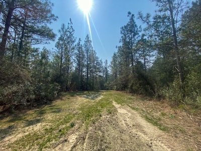 Hunting Land For Sale in Lamar County, MS 268 Acres - image 43