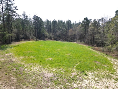Hunting Land For Sale in Lamar County, MS 268 Acres - image 36